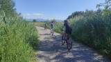Na rowerach przez Magurę Witowską na Słowację? Chcą zbudować taką trasę dla dwóch kółek