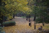 Park Miejski w Kaliszu. To już ostatnie dni, aby zobaczyć go w jesiennej szacie ZDJĘCIA