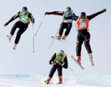 Puchar Świata w skicrossie w Harrachovie