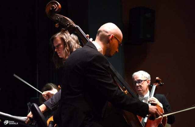 Koncert Orkiestry Polskiego Rada "Amadeus" w Międzychodzie