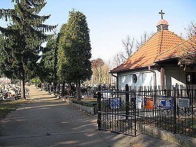 Młodzi przestępcy urządzili sobie libację na cmentarzu w Zabrzu-Rokitnicy. Zdewastowali groby