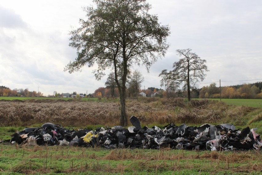 Postępowanie w sprawie wyrzucenia odpadów problemowych...