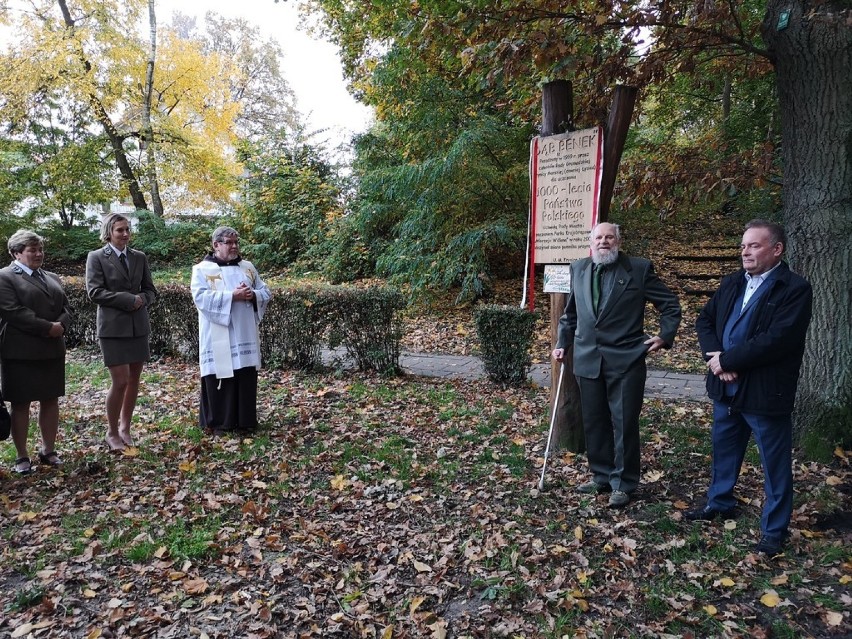 Krynica Morska. Sympatycy przyrody świętowali 60 rocznicę zasadzenia "Benka" [ZDJĘCIA]