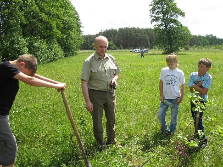 Sadzą krzewy i ożywiają pola w gminie Rozprza