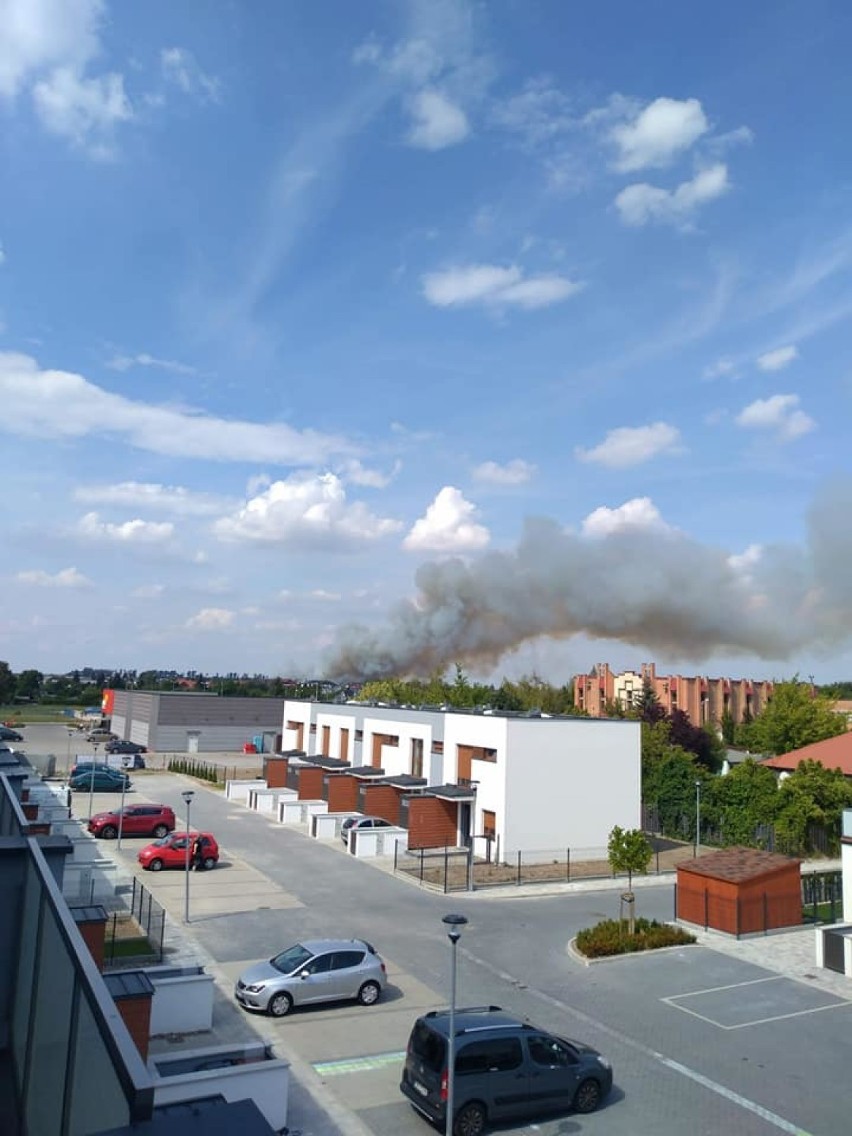 Groźny pożar lasu w Sokołowie. Na miejscu było wiele jednostek strażackich