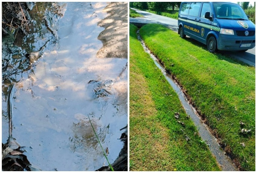 Strażacy neutralizują ropopochodną ciecz w rowie w Sieniawce