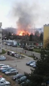 Pożar w Bytomiu. Płonął nasyp kolejowy przy wąskotorówce