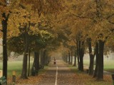 Dolina Trzech Stawów w Katowicach jesienią. Zobaczcie złotą polską jesień w jednym z najpiękniejszych parków w regionie