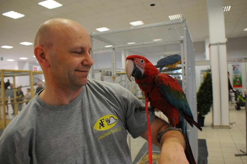 Kraków. Animal Show przyciągnęło maluchy z rodzicami [ZDJĘCIA]