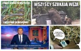 Wąż nad Wisłą. Straż przerywa poszukiwanie pytona... a internety szydzą [MEMY]