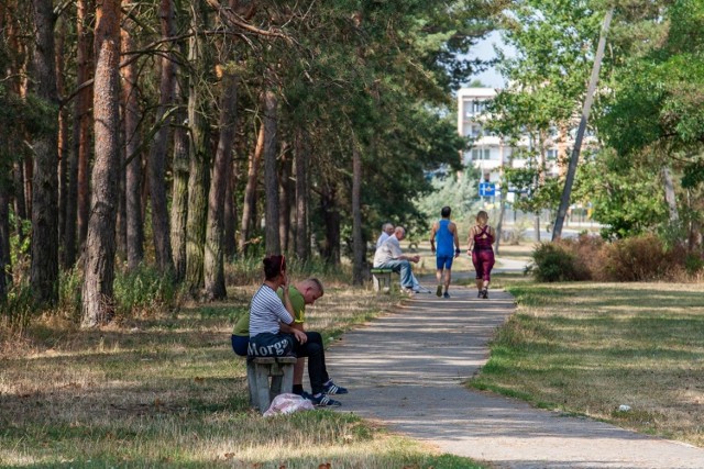 Nowa trasa rekreacyjna ma powstać w Fordonie