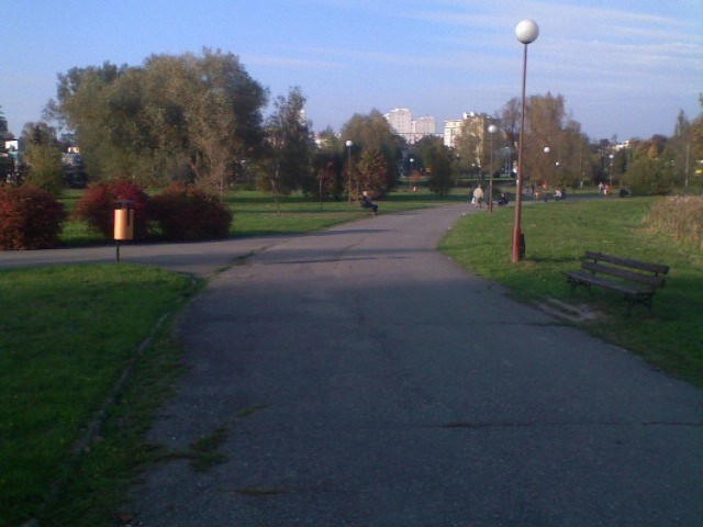 Park Miejski w Ostrowcu Świętokrzyskim zaprasza. Fot. Krzysztof Krzak