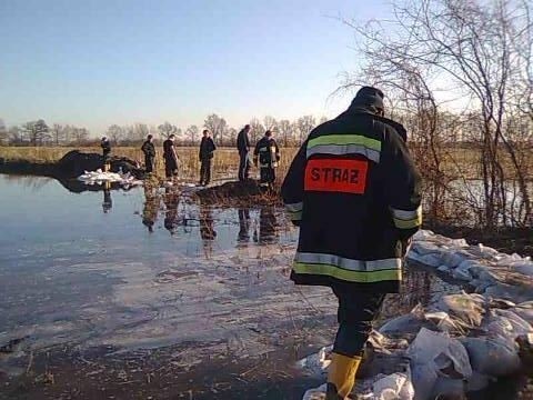 Wrocław: Widawa wylała w pobliżu Wilczyc i Kiełczówka (ZDJĘCIA)