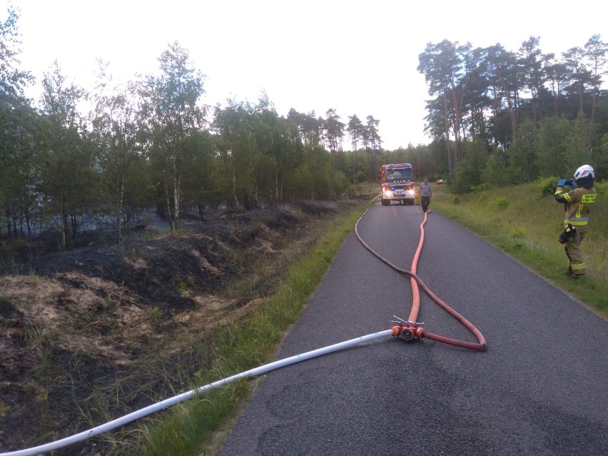 Pożar lasu w rejonie Lipińca – Karolinki (aktualizacja)