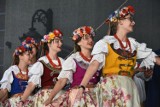 Legnicki Festiwal Kultur "Kto siedzi na miedzi" [ZDJĘCIA]