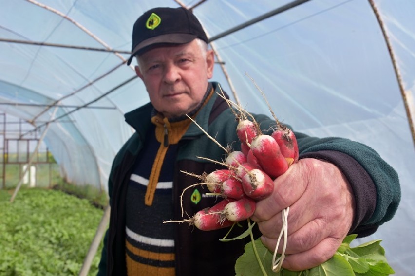 Niecodzienna roślinność z Lipiec pod Legnicą [ZDJĘCIA]