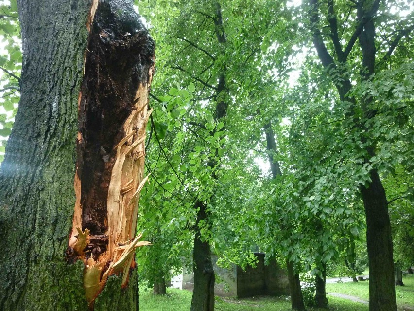 Burze w powiecie malborskim. Ponad 30 interwencji strażaków