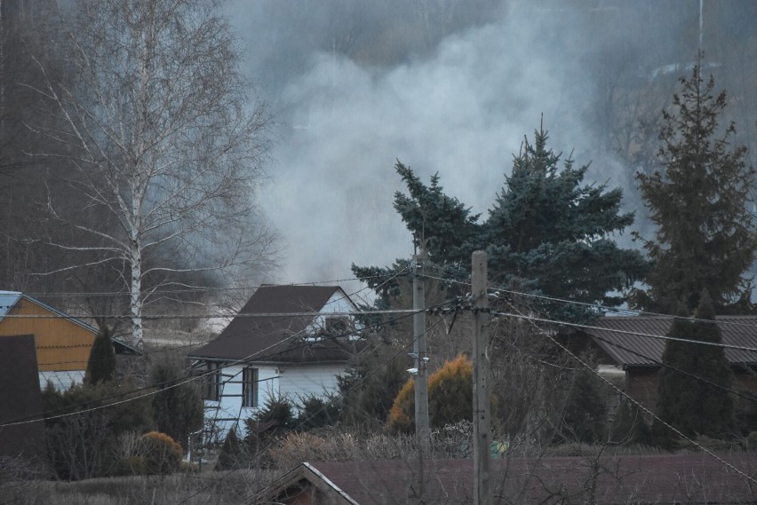 Gorlice. Ktoś podpalił wał na Ropie, od wielkiego pożaru na ogródkach działkowych dzielił nas podmuch wiatru [ZDJĘCIA]