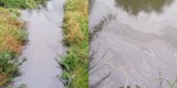 Zanieczyszczona rzeka w Wągrowcu? Na alarm bije jedna z mieszkanek. Sprawę wyjaśniają już służby