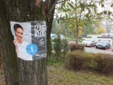 Mnóstwo plakatów wyborczych w Jastrzębiu. Zaśmiecają miasto? [ZDJĘCIA]