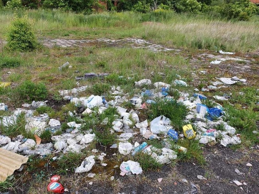 11 maja - Dzień bez śmiecenia. Dzikie wysypiska śmieci to prawdziwa plaga w powiecie pleszewskim. Toniemy w śmieciach