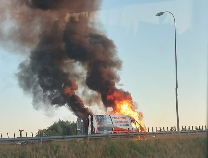 Tak wyglądał pożar busa przy węźle Bydgoszcz-Błonie.