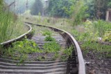 PKP SA chcą rozebrać linię kolejową nr 363 Rokietnica – Międzychód. Czy to koniec marzeń o jej rewitalizacji?