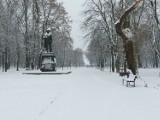 Zimowa aura w Parku Bioróżnorodności w Sosnowcu. Zobacz ZDJĘCIA. To idealne miejsce na spacer!
