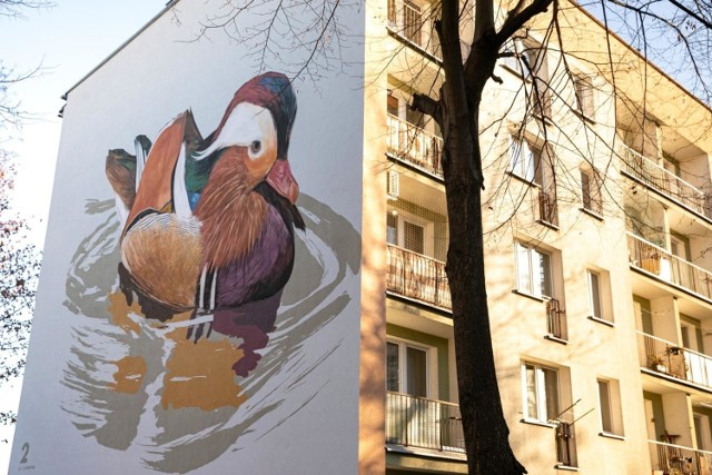 Ptasie murale na blokach osiedla Na Kozłówce. W tym roku pojawiły się nowe ptaki na blokach