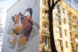 Kraków. Nowe murale na osiedlu na Kozłówce. To wyjątkowe dzieła [ZDJĘCIA]