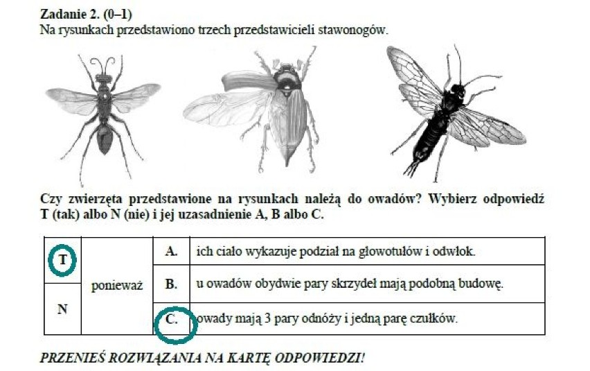 Testy gimnazjalne 2014 z CKE - CZĘŚĆ MATEMATYCZNO -...