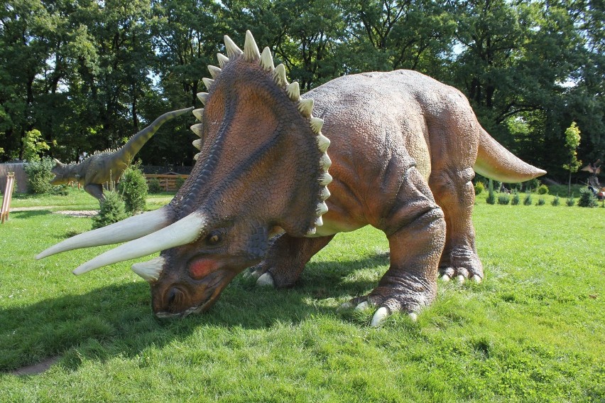 Wrocławski Park Dinozaurów