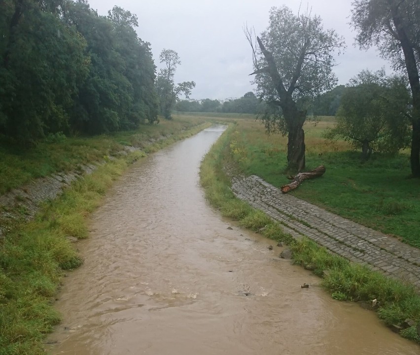 Opady deszczu w Legnicy spowodowały zalanie kilku ulic. Co z poziomem wody w Kaczawie? 