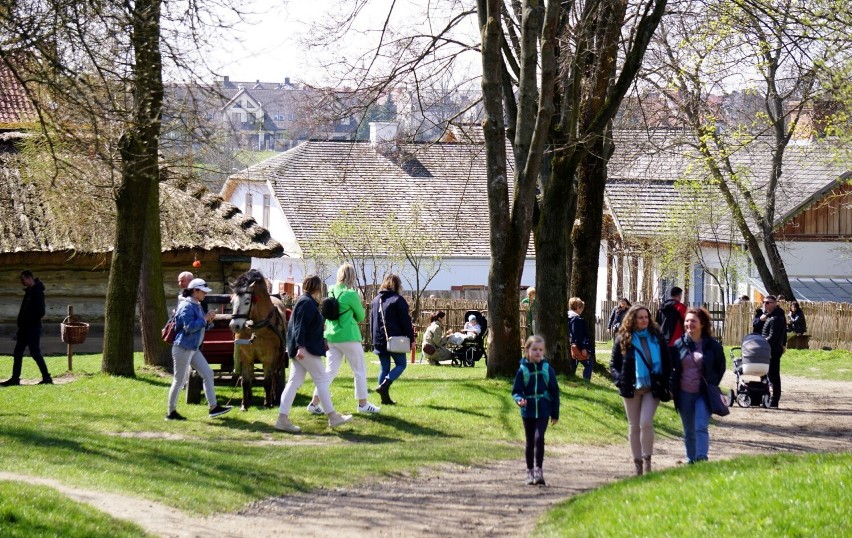 Mieszkańcy regionu, turyści i zwierzęta korzystają z uroków wiosny w Muzeum Wsi Lubelskiej. Zobacz zdjęcia