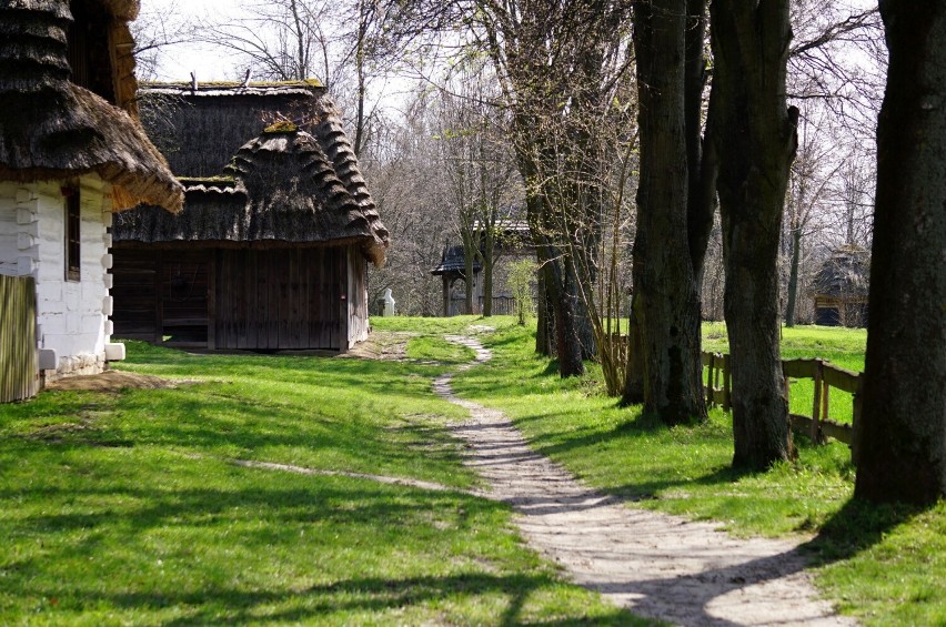 Mieszkańcy regionu, turyści i zwierzęta korzystają z uroków wiosny w Muzeum Wsi Lubelskiej. Zobacz zdjęcia