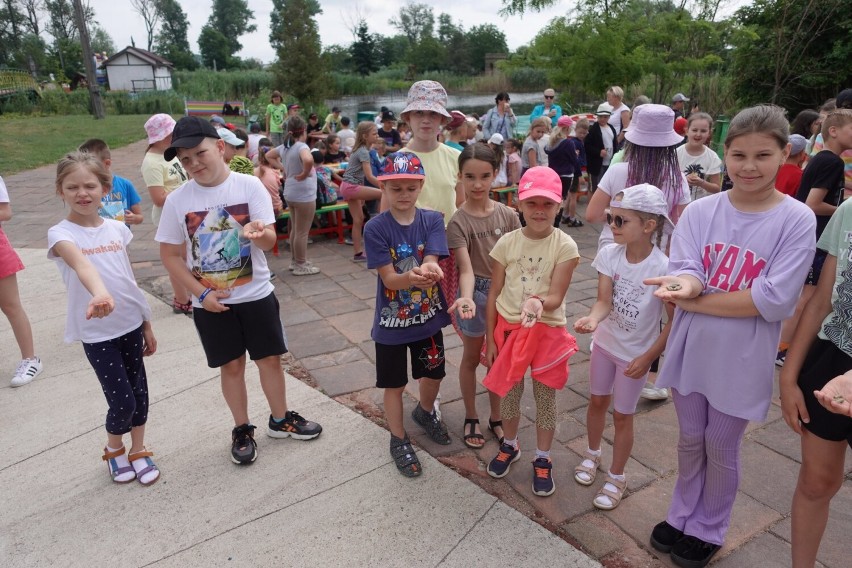 Gmina Kościan. Półkolonie w Szkole w Starym Luboszu