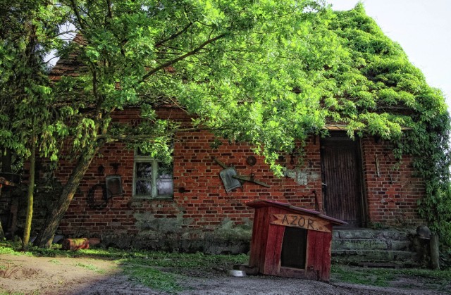 Możecie nie uwierzyć, ale w regionie lubuskim mamy również opuszczone miejscowości, lub takie, gdzie mieszka jedynie kilka osób. Ich domy znajdują się na uboczu, z dala od dróg głównych i większych miejscowości. Nie ma tam gdzie zrobić zakupów. Do najbliższego sklepu trzeba dojechać samochodem. Brakuje również przystanków autobusowych, poczty. Tak naprawdę niewiele osób tutaj zagląda.

Czytaj także:
- Ryby - giganty. Takie okazy złowili nasi Czytelnicy. Robią wrażenie!
-  Lubuskie. Mamy w regionie już kilkaset wilków! Niektóre podchodzą bliżej gospodarstw
- "Miasto duchów" w Lubuskiem istnieje! Jakby wszyscy zniknęli z dnia na dzień. W Kosinie po zmroku włos jeży się na głowie

Zobacz również: Kosin. KOSIN. To było prawdziwe turystyczne Eldorado. Dlaczego marzenie o Dzikim Zachodzie nad Notecią upadło? Dziś jest to "miasto duchów"
