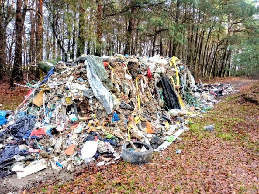 Sterta śmieci porzuconych w lesie w Bogusławicach