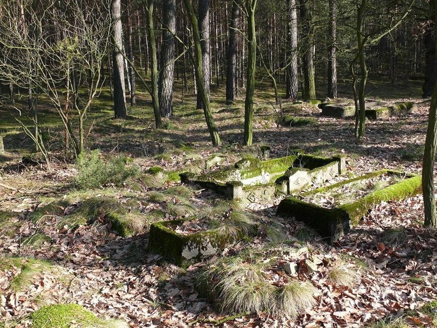 Cmentarz w Albertowsku