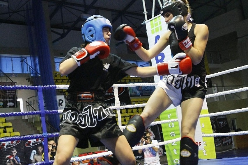 Świebodzice: Trwają MP w kick-boxingu (Zdjęcia)