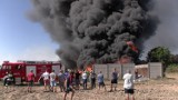 Pożar w Tłokini Wielkiej. Płonęła szkółka krzewów [FOTO, WIDEO]
