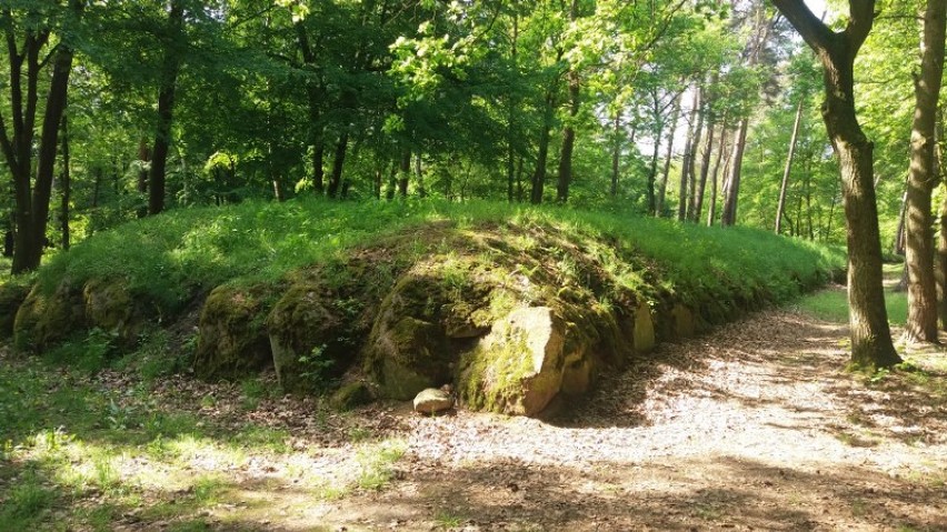 Rezerwat archeologiczny w Wietrzychowicach