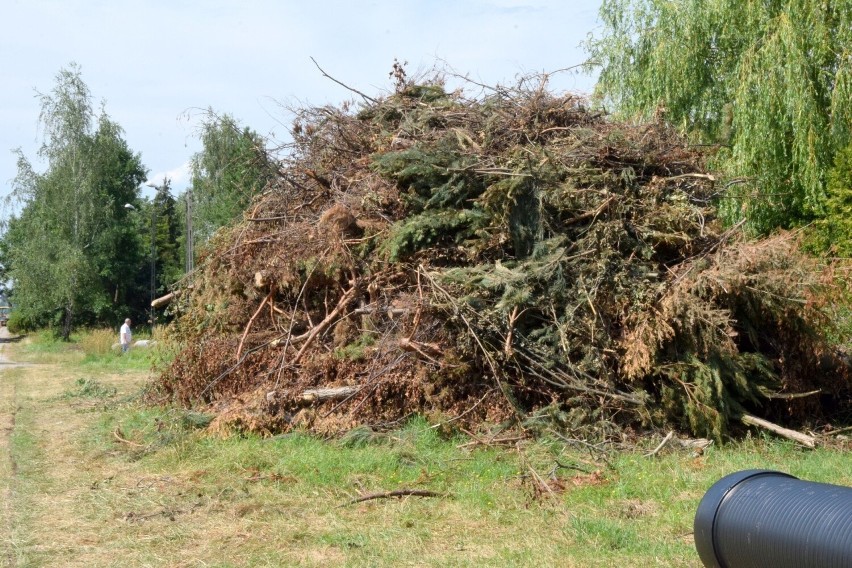 Trwają prace przy rozbudowie wylotówki z Kielc. Rozpoczęła się gigantyczna wycinka drzew i krzewów