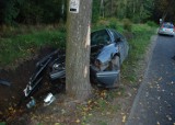 Wypadek na trasie Kwidzyn-Kamionka. 19-letni kierowca uderzył w drzewo