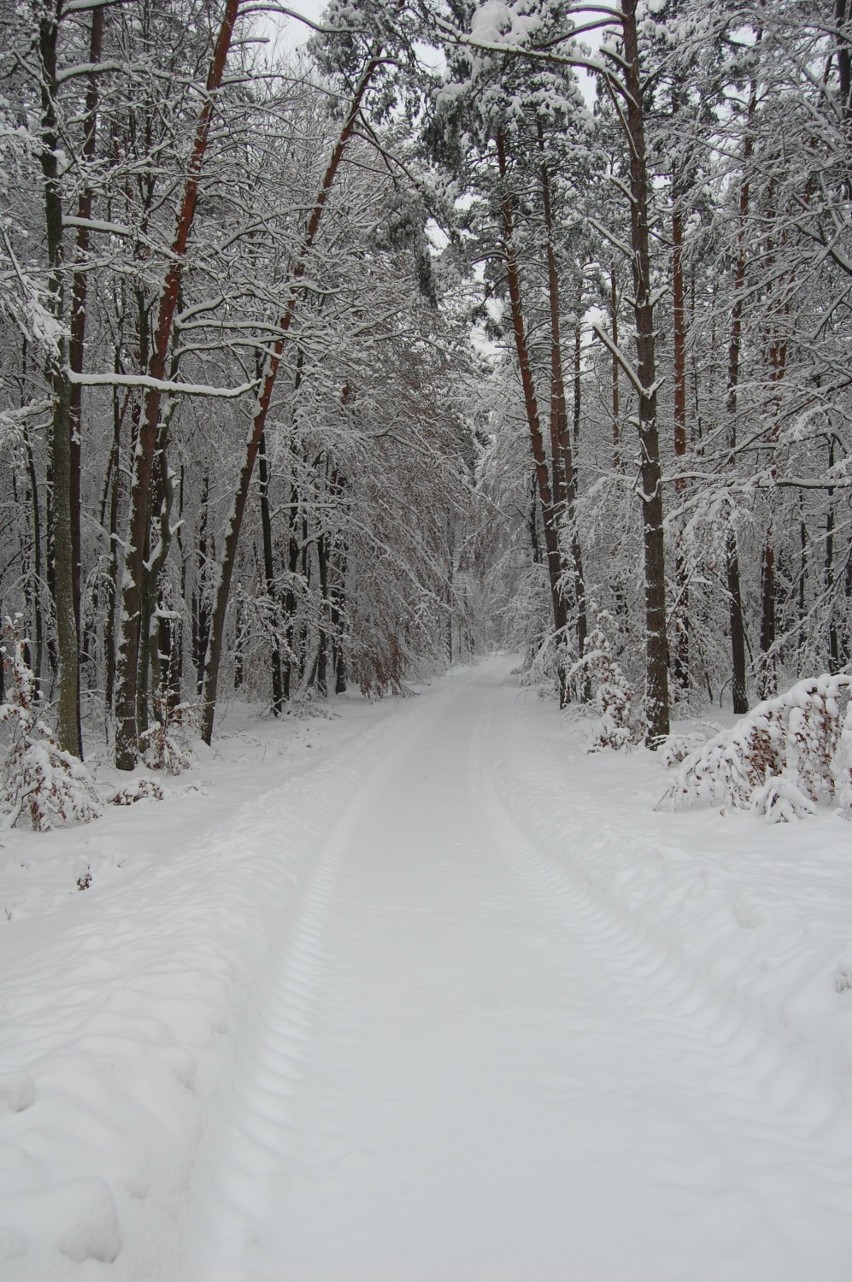 Zima pod Białą Górą 2011