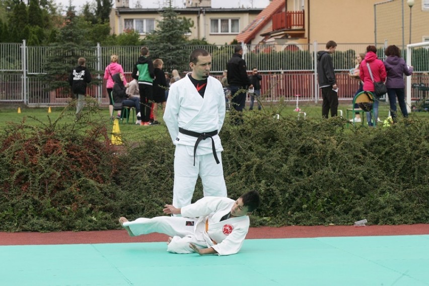 Piknik trzech pokoleń w SP 9 Legnica [ZDJĘCIA]