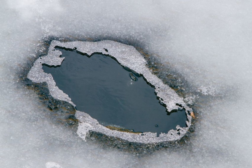 Wędkarze na jeziorze Bystrzyckim nie boją się cienkiego lodu (ZDJĘCIA)