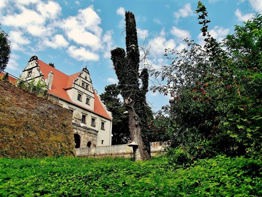 Zamek w Siedlisku 2020.