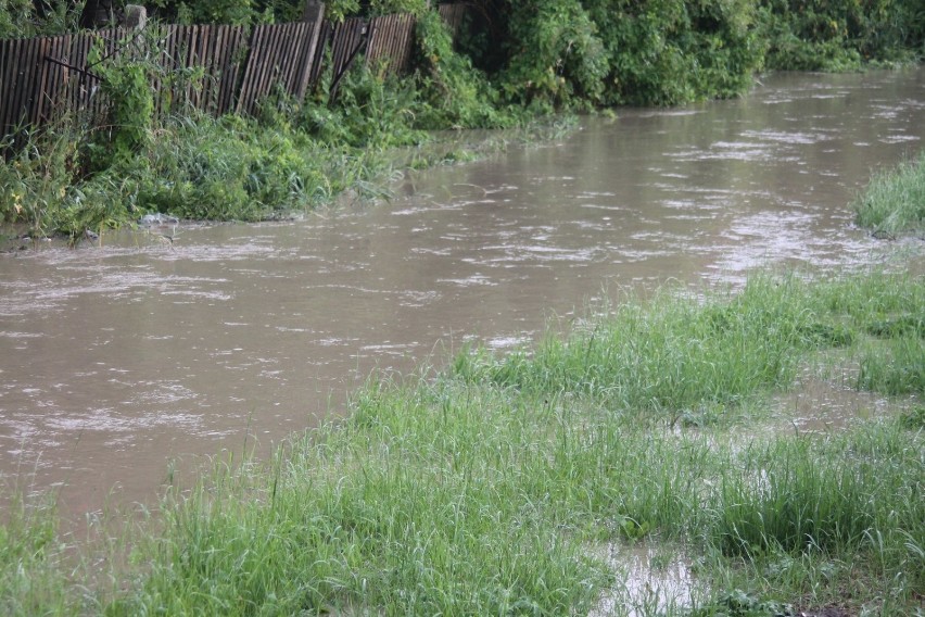 Rzeka w Orpiszewie wylała po obfitych deszczach. Interweniowali strażacy [ZDJĘCIA + FILM]         