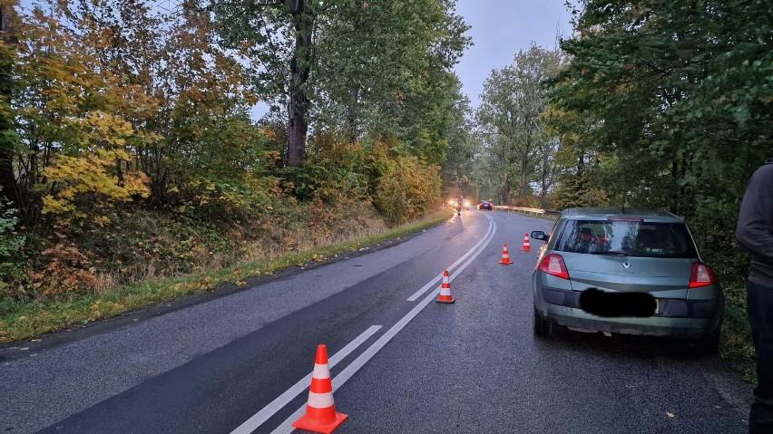 Gmina Przywidz. Wypadek samochodowy w Pomlewie. Potrącenie dzika |ZDJĘCIA